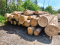 img-20260514-wa0009.jpg