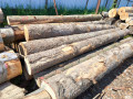 img-20260514-wa0010.jpg