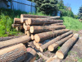 img-20260520-wa0001.jpg