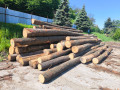 img-20260520-wa0003.jpg