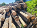 img-20260520-wa0004.jpg