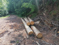 img-20260522-wa0029.jpg