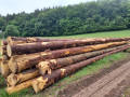 img-20260511-wa0016.jpg