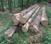 img-20260522-wa0043.jpg