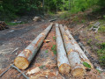 img-20260522-wa0028.jpg
