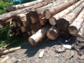 img-20260525-wa0040.jpg