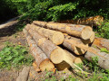 img-20260525-wa0031.jpg