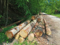 img-20260525-wa0037.jpg