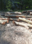 img-20260525-wa0008.jpg
