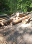 img-20260525-wa0010.jpg