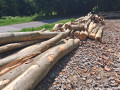 img-20260526-wa0017.jpg