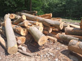 img-20260526-wa0023.jpg