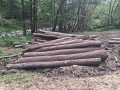 img-20260526-wa0019.jpg