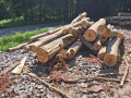 img-20260526-wa0021.jpg