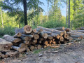 img-20260526-wa0030.jpg
