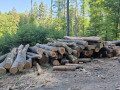 img-20260526-wa0028.jpg
