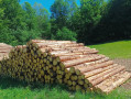 img-20260526-wa0053.jpg