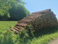 img-20260526-wa0050.jpg