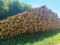 img-20260526-wa0049.jpg