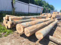 img-20260526-wa0002.jpg
