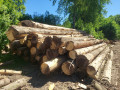 img-20260527-wa0004.jpg