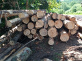 img-20260602-wa0014.jpg