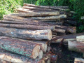 img-20260602-wa0005.jpg