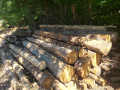 img-20260602-wa0019.jpg