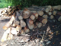 img-20260602-wa0006.jpg