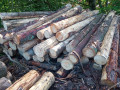 img-20260602-wa0011.jpg