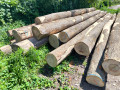 img-20260608-wa0002.jpg