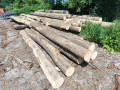 img-20260608-wa0001.jpg