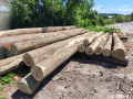 img-20260608-wa0000.jpg