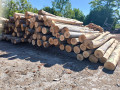 img-20260608-wa0006.jpg