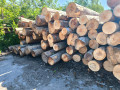 img-20260608-wa0005.jpg