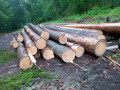 img-20260608-wa0000.jpg