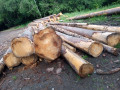 img-20260608-wa0004.jpg