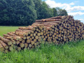 img-20260608-wa0015.jpg
