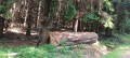 img-20260608-wa0009.jpg