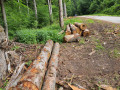 img-20260608-wa0013.jpg