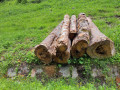 img-20260608-wa0007.jpg