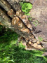 img-20260608-wa0008.jpg