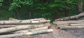 img-20260609-wa0016.jpg