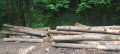 img-20260609-wa0015.jpg