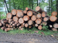 img-20260611-wa0021.jpg