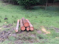 img-20260611-wa0016.jpg