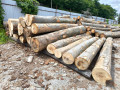 img-20260616-wa0002.jpg