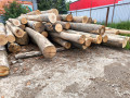 img-20260616-wa0001.jpg