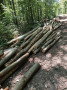 img-20260617-wa0014.jpg
