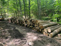 img-20260617-wa0012.jpg
